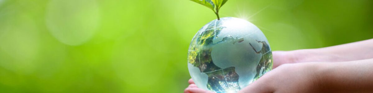 Concept Save the world save environment The world is in the grass of the green bokeh background